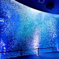 名古屋旅遊～名古屋水族館