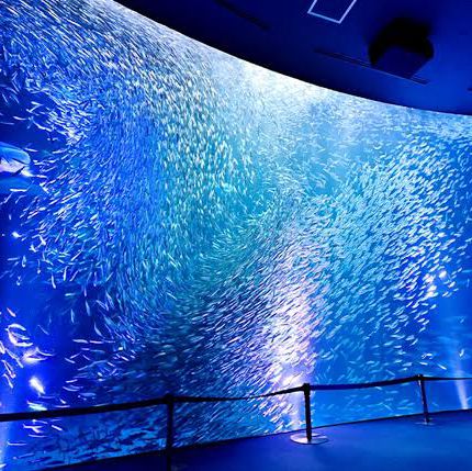 名古屋旅遊～名古屋水族館