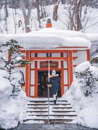 【冬の定山渓】雪の絶景と温泉を堪能
