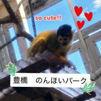 動物に癒されよう！のんほいパーク(豊橋総合動植物公園）