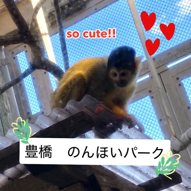 動物に癒されよう！のんほいパーク(豊橋総合動植物公園）