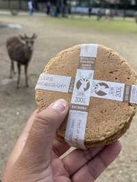Nara Park: A Magical Meeting with Japan’s Sacred Deer