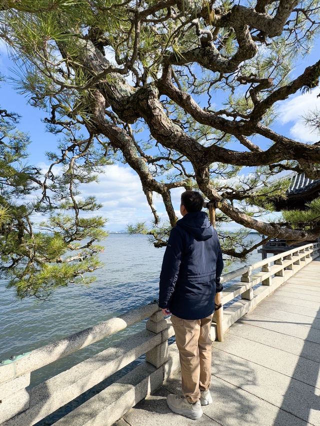 日本景點🇯🇵特式水上佛堂🩵