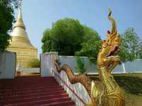 ความงาม..วัดพระแก้วดอนเต้าสุชาดาราม