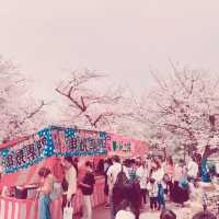 大阪城公園，活出生命櫻花
