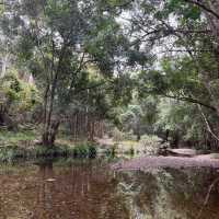 ～Ryton Pools Country Park～綠色世界～