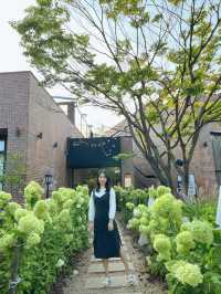 고급스럽고 맛있는 스테이565 레스토랑 🥩
