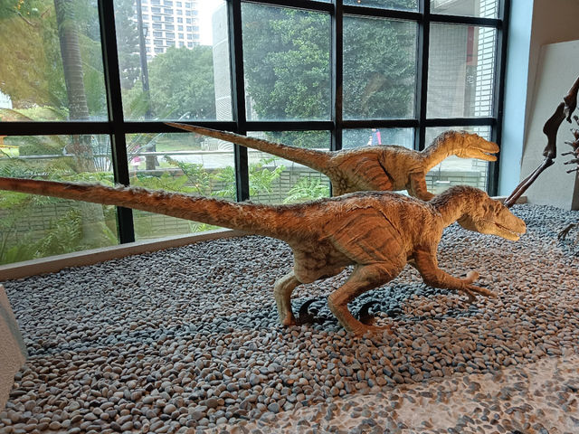 台中旅行　自然科学博物館見学！