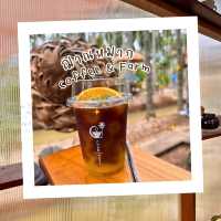 🥨 ฌาณหมาก Coffee & Farm