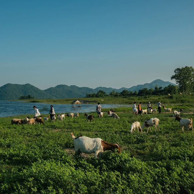 “ปราณบุรี”มุมนี้ทั้งสวยทั้งชิลฟีลตปทมากกก🐑🏞🐐 