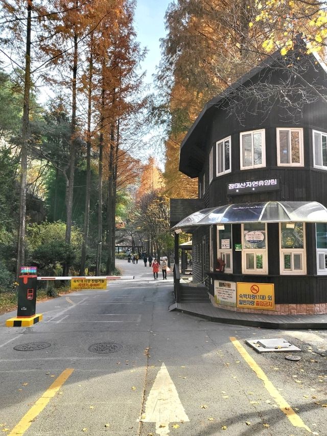매년 가을이면 꼭 가야할 대전여행지
