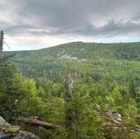 Bavarian Forest National Park