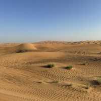 A thrilling desert adventure in Dubai! 🐪🐫🏜️