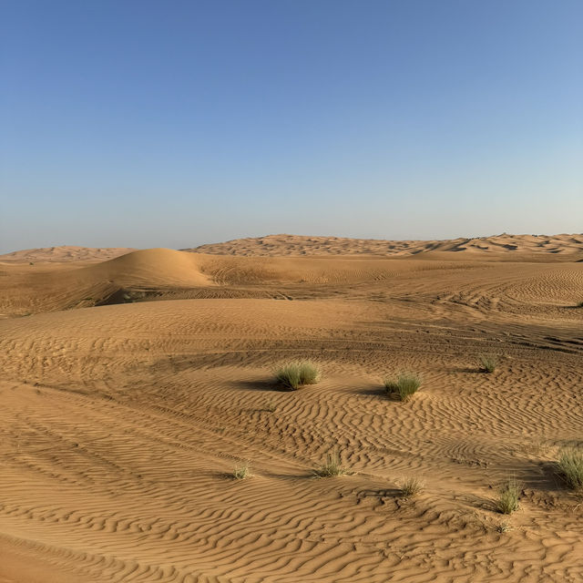 A thrilling desert adventure in Dubai! 🐪🐫🏜️