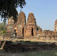 วัดมหาธาตุ จ.พระนครศรีอยุธยา