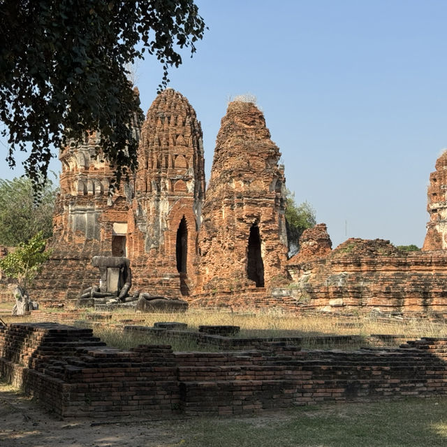 วัดมหาธาตุ จ.พระนครศรีอยุธยา