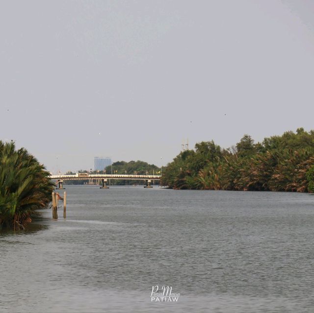 The Dishes Riverside พระสมุทรเจดีย์
