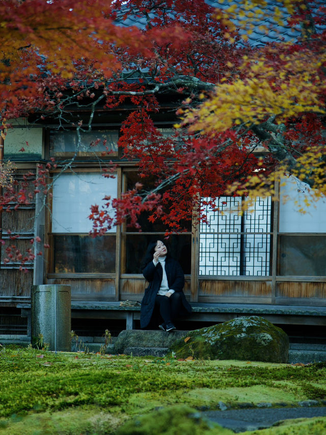 《箱根》箱根美術館で庭園散策