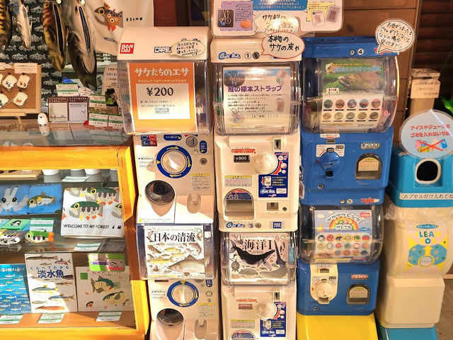 【札幌市豊平川さけ科学館】