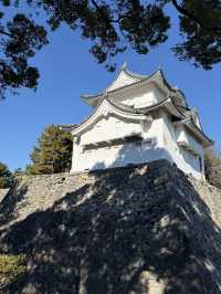 The Stunning Nagoya Castle, You Have To See It To Believe It! 🇯🇵 🏯🗾