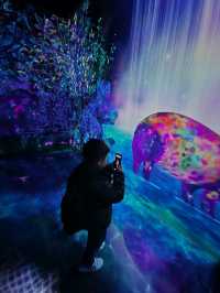 Teamlab Forest Fukuoka 🌳