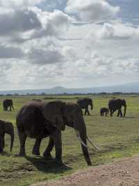 Safari trip at Amboseli National Park 🇰🇪