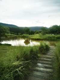 คาเฟ่ BUCOLIC Khaoyai บรรยากาศจัดเต็ม