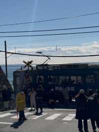 Enoden Train Ride & Train Watching at Kamakura Mae Station