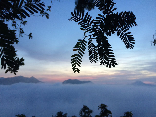 @เลย เมืองสายหมอก 
