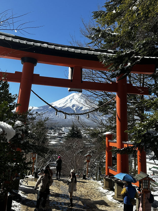 日本🇯🇵新宿到下吉田   找尋富士山美景🗻一日遊 