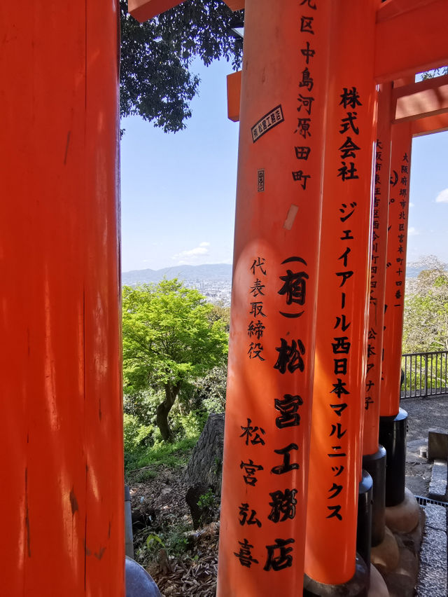 🇯🇵 Through the Torii Gates: A Spiritual Journey at Fushimi Inari