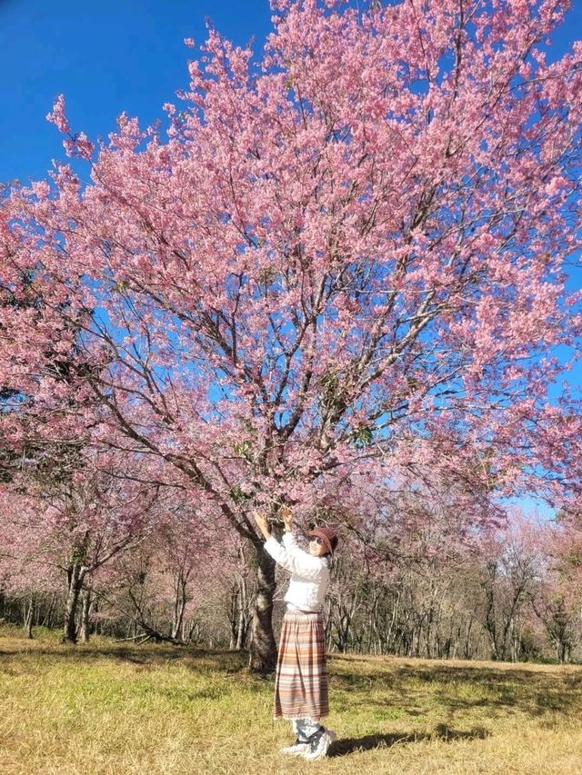 ภูลมโล จังหวัดเลย 