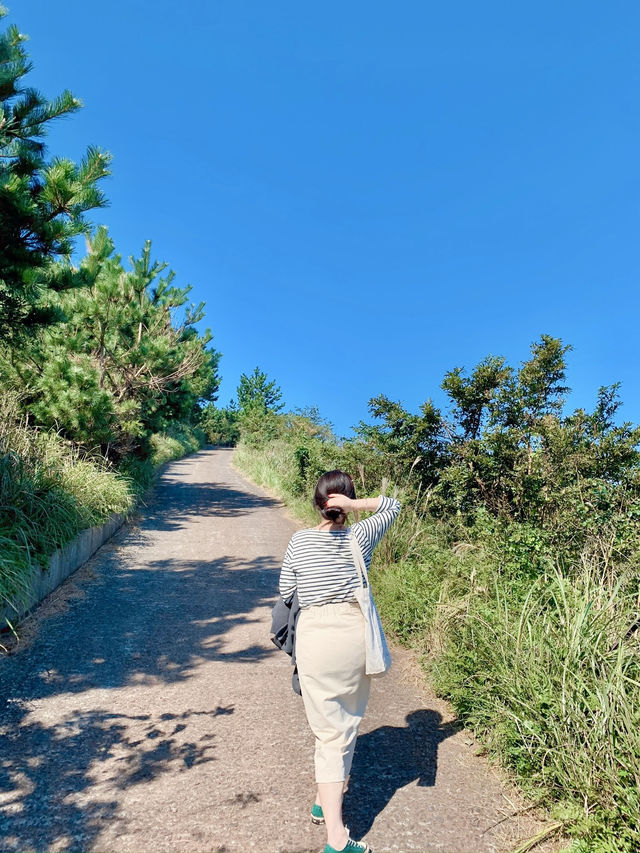 즐거운 제주도 오름 오르기🇰🇷