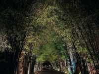 200年的樹@Tamarind Village