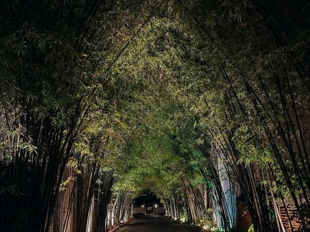 200年的樹@Tamarind Village