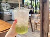 🍹 The wood Land 🍹