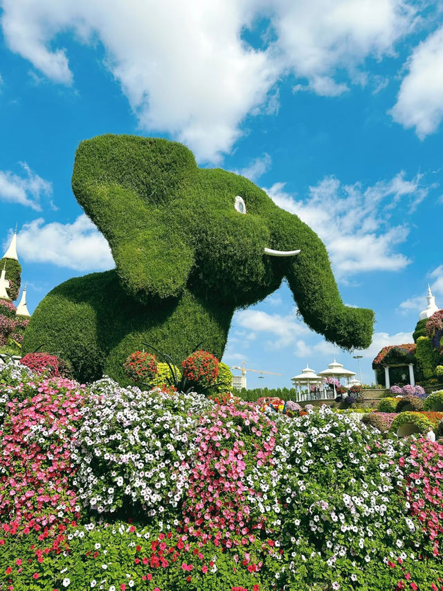 An awesome day spent at Dubai miracle garden 🪴 
