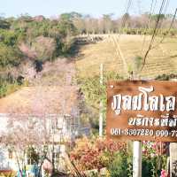 ทิ้งทวนท้ายฤดู ภูลมโล