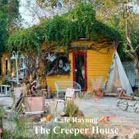   #TheCreeperHouse #คาเฟ่ระยอง #คาเฟ่สวนสวย  ✨🌷 