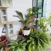 LaVida Cafe: A Hidden Gem Worth Exploring 🌵