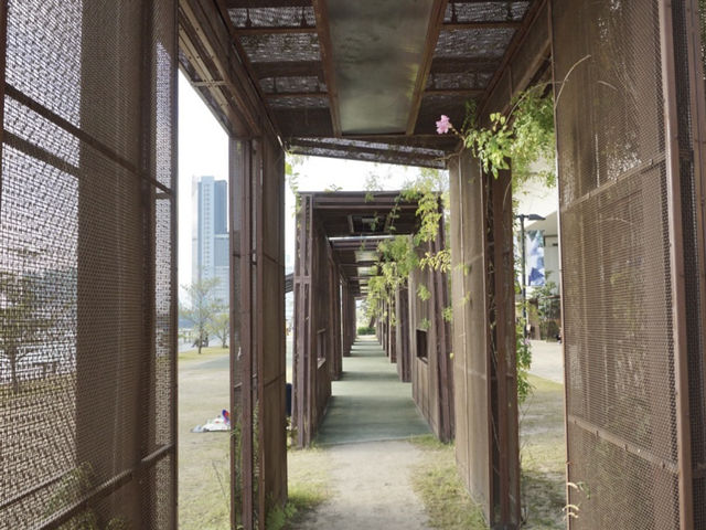 A Peaceful Detour: Experiencing the Beauty of Kwun Tong's Waterfront Park