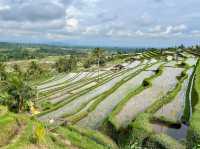 Jatiluwih Rice Terraces