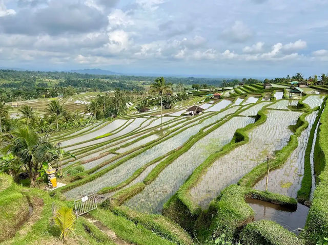 Jatiluwih Rice Terraces