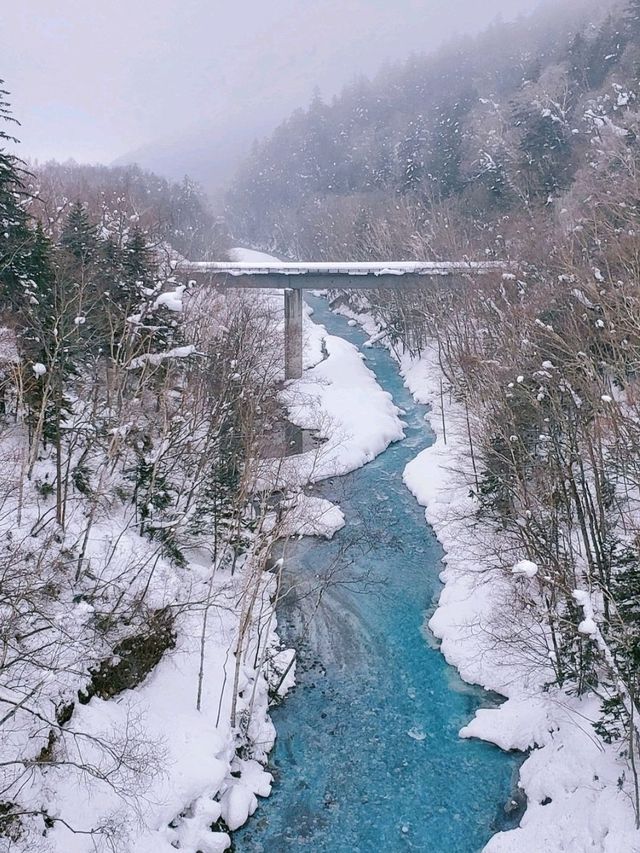 北海道 ❄️必去景點 ❄️白鬚瀑布 