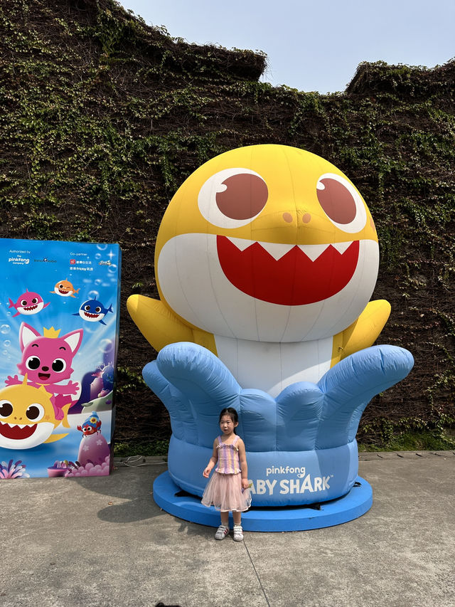 台北｜鯊魚寶寶展