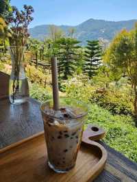 Mori Natural Farm เป็นฟาร์มสเตย์สไตล์ญี่ปุ่น