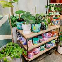 Botanical Bliss at Bar Botanik