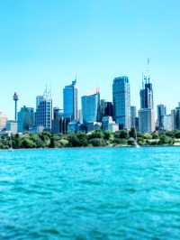 Royal Botanic Garden Sydney: A Green Escape by the Harbour