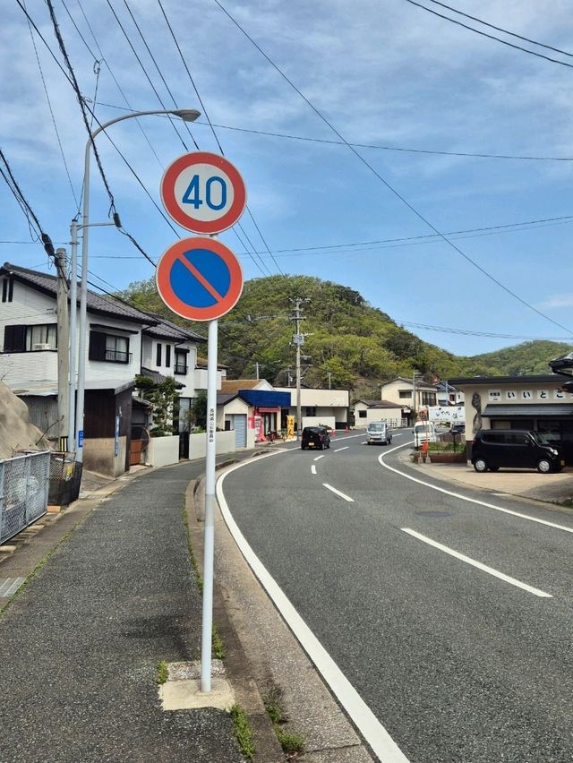대마도 히타카쓰 자유여행 당일치기 코스 추천!🇯🇵