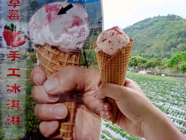 騎單車逍遙遊花東-關山環鎮自行車道